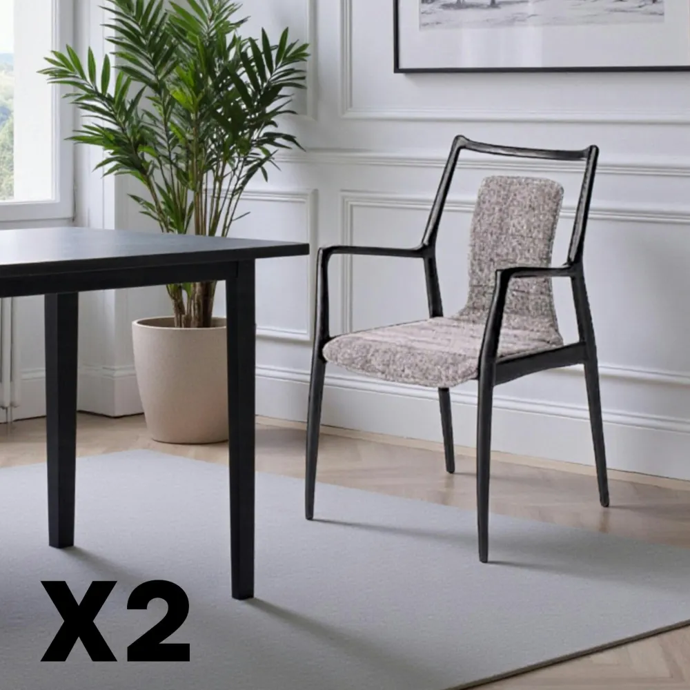 Chaises En Bois|Chaises Contemporaines| Chaise design anthracite à structure noire (lot de 2) ALDER