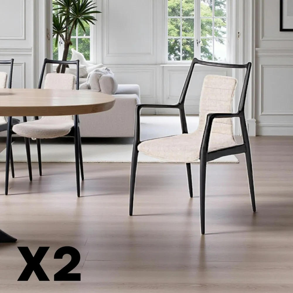 Chaises En Bois|Chaises Contemporaines| Chaise design anthracite à structure noire (lot de 2) ALDER