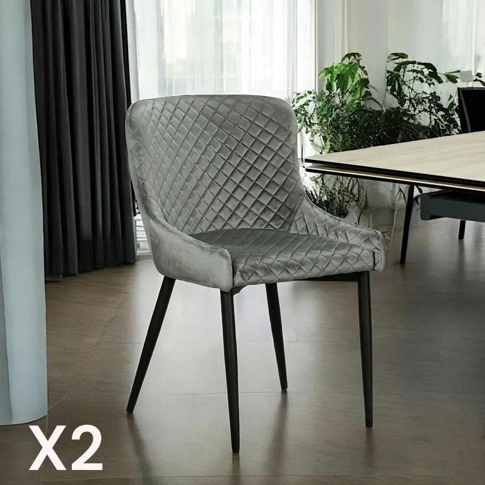 Meubles De Cuisine·Chaises|Chaises Capitonnées|ARLINGTON Chaise grise en velours (lot de 2)