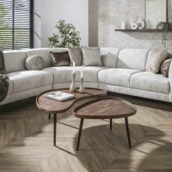 Tables Basses Gigognes| Table basse bois brun forme organique à rebords (x2) NAKO