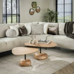 Tables Basses Design|Tables Basses Gigognes|Melbourne Table basse organique en bois d'acacia avec pied en bois sculpté (lot de 2)