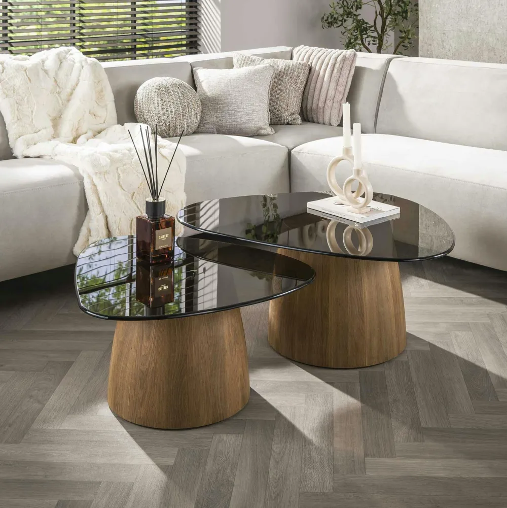 Tables Basses Design|Tables Basses En Verre| Tables salon verre fumé, design organique (lot de 2) MILOS